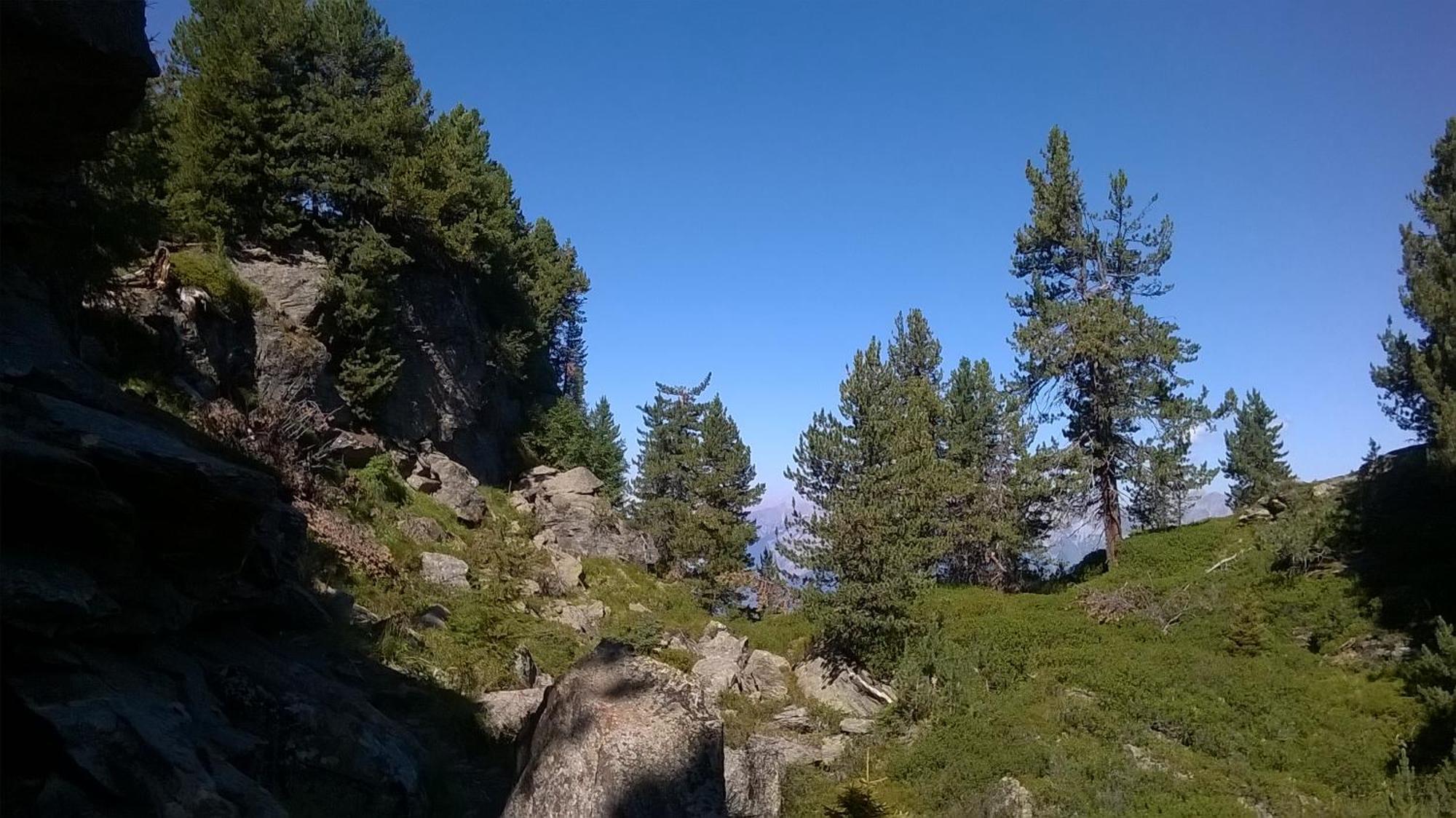 Ferienwohnung Hannes Steirer Neustift im Stubaital Exterior foto